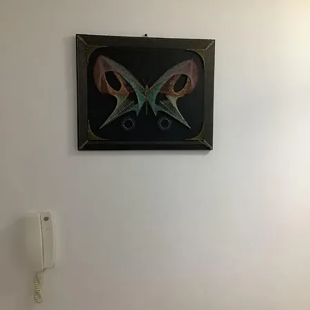 Kamberaj House Apartment *